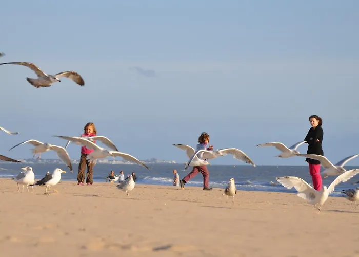 펜션 Maison Familiale A Deux Pas De La Plage, Ideale Pour 6 Pers. Avec Terrasse A Jean De Monts - Fr-1-323-480