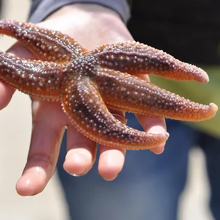 Maison Familiale A Deux Pas De La Plage, Ideale Pour 6 Pers. Avec Terrasse A Jean De Monts - Fr-1-323-480